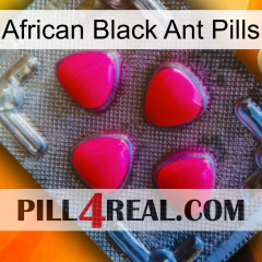 African Black Ant Pills 13